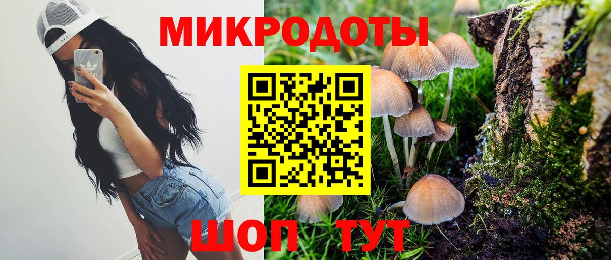 Псилоцибиновые грибы GOLDEN TEACHER Вольск